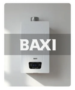Baxi